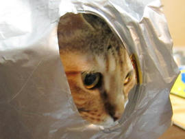 IMG00797.jpg