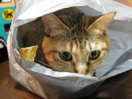 IMG00798.jpg