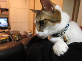 IMG00799.jpg