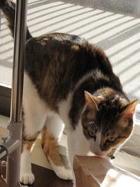 IMG00800.jpg