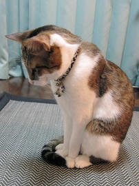 IMG00790.jpg