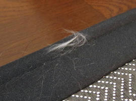 IMG00791.jpg