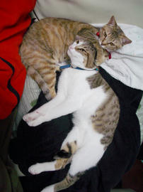 IMGP9765.jpg