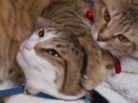 IMGP9765_2.jpg