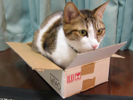 IMG00801.jpg