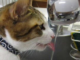 IMG00803.jpg