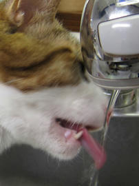 IMG00804.jpg