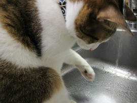 IMG00805.jpg