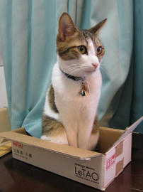 IMG00812.jpg