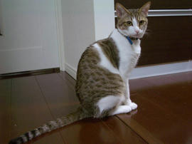 IMGP9788.jpg
