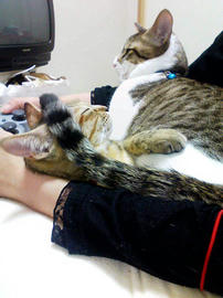 090122_PAP_0003.jpg
