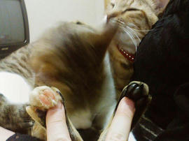 090122_PAP_0007.jpg