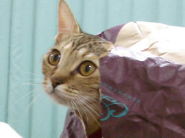 IMGP9793.jpg