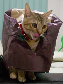IMGP9795.jpg