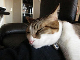 IMG00815.jpg