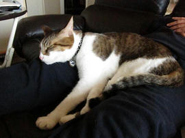 IMG00816.jpg