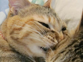 IMG00823.jpg