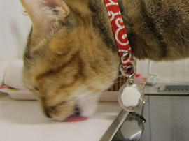 IMG00828.jpg