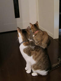 IMG00832.jpg