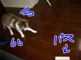 IMGP9886.jpg