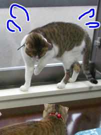 IMGP9917.jpg