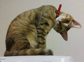 090124_PAP_0001.jpg