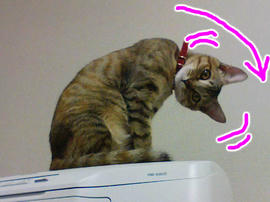 090124_PAP_0004.jpg