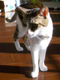 IMGP12936.jpg