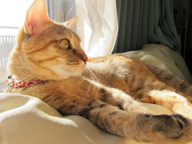 IMG00834.jpg