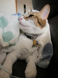 IMG00835.jpg