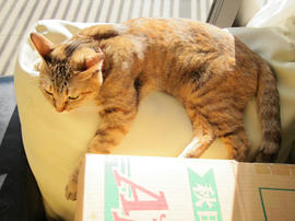 IMG00836.jpg