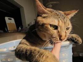IMG00838.jpg