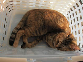 IMG00845.jpg