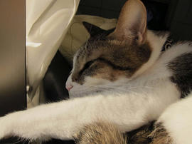IMG00846.jpg