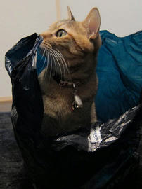 IMG00859.jpg