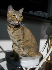 IMGP12966.jpg