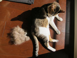 IMG00868.jpg