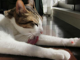 IMG00870.jpg