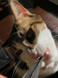 IMG00874.jpg