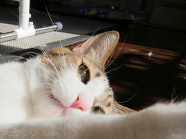 IMG00876.jpg