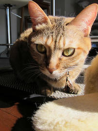 IMG00877.jpg