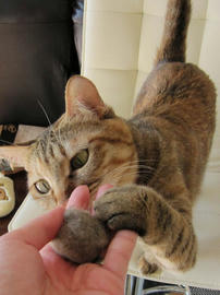 IMG00883.jpg