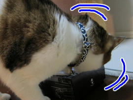 IMG00895.jpg