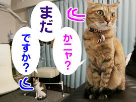 IMG00899.jpg