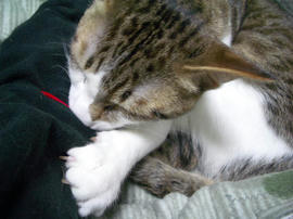 IMGP10133.jpg
