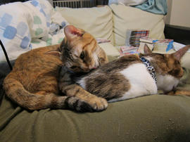IMG00902.jpg