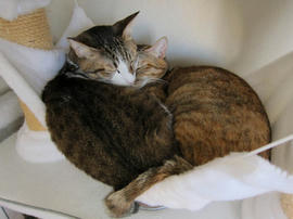 IMG00907.jpg