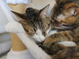 IMG00916.jpg
