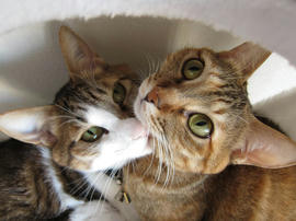 IMG00924.jpg