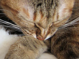 IMG00921.jpg